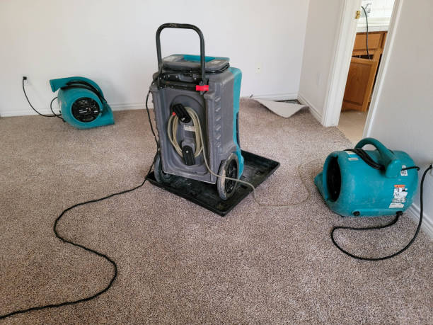 Best Sewage cleanup and water damage restoration  in Florence, MS