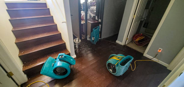 Best 24/7 water damage repair  in Florence, MS