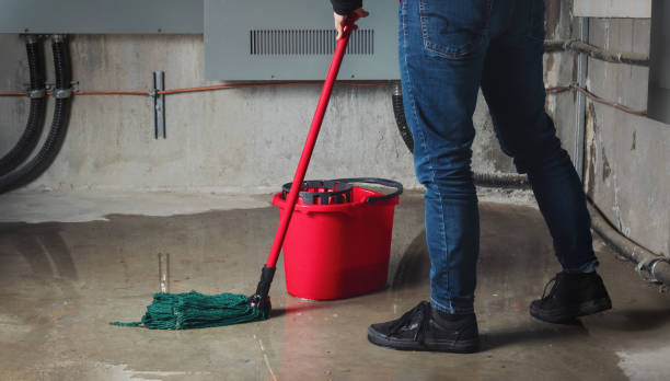 Best Water damage cleanup near me  in Florence, MS