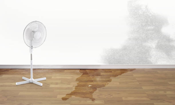 Water damage restoration experts in MS