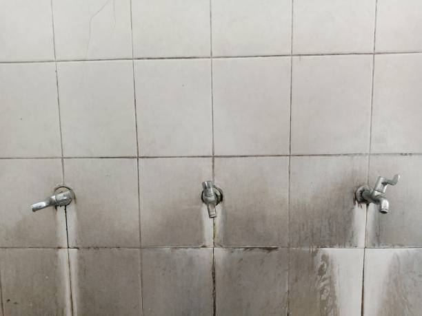 Best Carpet water damage restoration  in Florence, MS