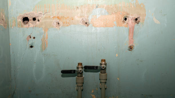 Best Water damage restoration near me  in Florence, MS