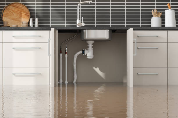 Best Water damage restoration cost  in Florence, MS