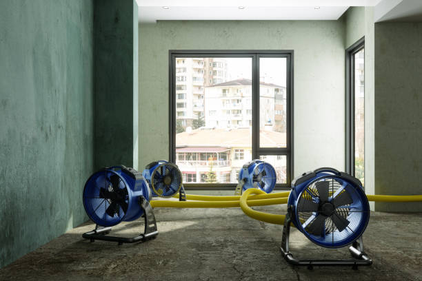 Best Water damage restoration near me  in Florence, MS