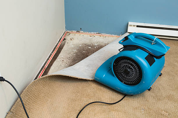 Best Water damage contractors near me  in Florence, MS
